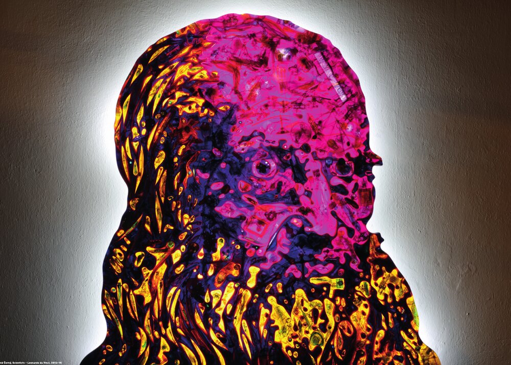 Scientists – Leonardo da Vinci, 2013–16